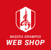 WEB SHOP