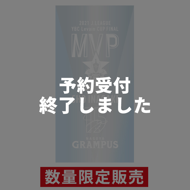 稲垣選手 2021JリーグYBCルヴァンカップMVP受賞記念 ミニクリスタル【数量限定販売】