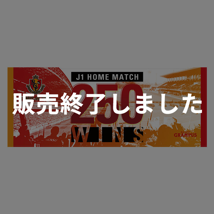 J1リーグ ホーム通算250勝達成記念 フェイスタオル