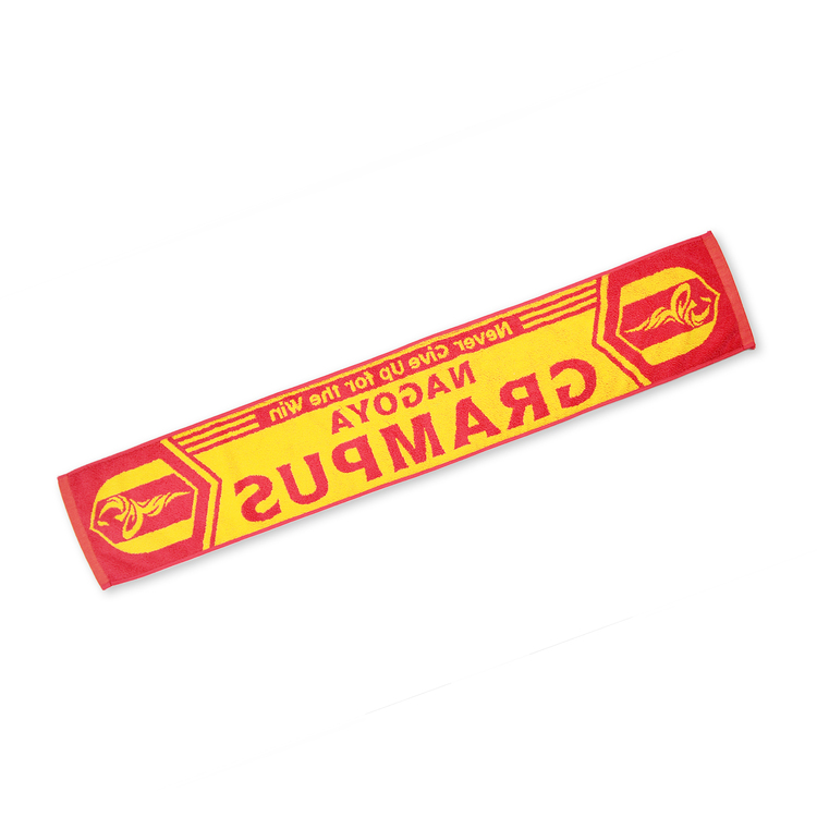 2025タオルマフラー(エンブレム)