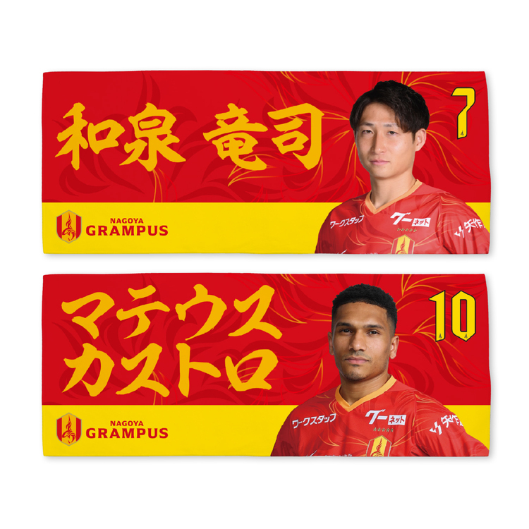 2025プレーヤーズハイブリッドフェイスタオル