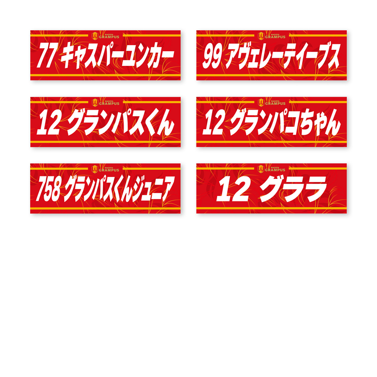 2025プレーヤーズネームクールタオル(FP/GK)