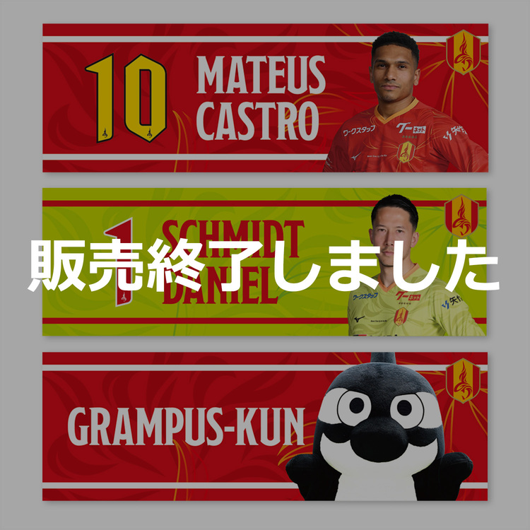 2025プレーヤーズフォトクールタオル(FP/GK)
