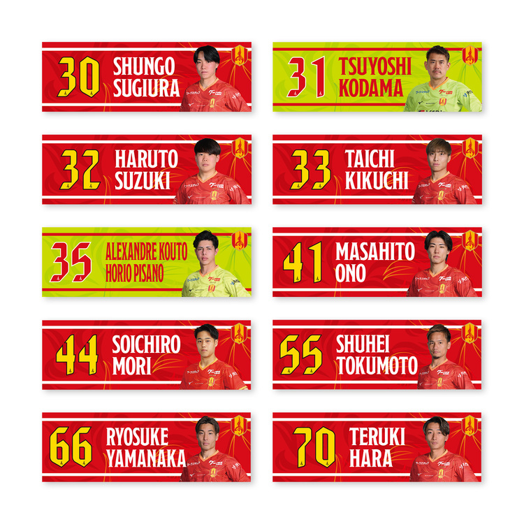 2025プレーヤーズフォトクールタオル(FP/GK)