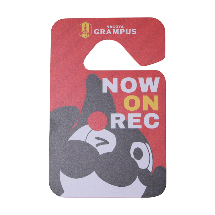 2025カータグ(NOW ON REC)