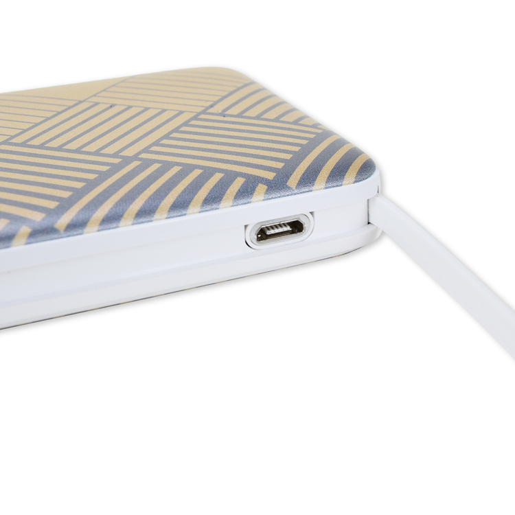 2025プレーヤーズモバイルバッテリー10000mAh(鯱の大祭典FPモデル)