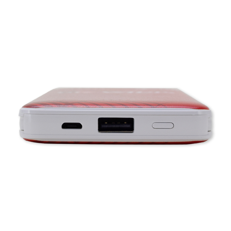 2025プレーヤーズモバイルバッテリー10000mAh(鯱の大祭典GKモデル)