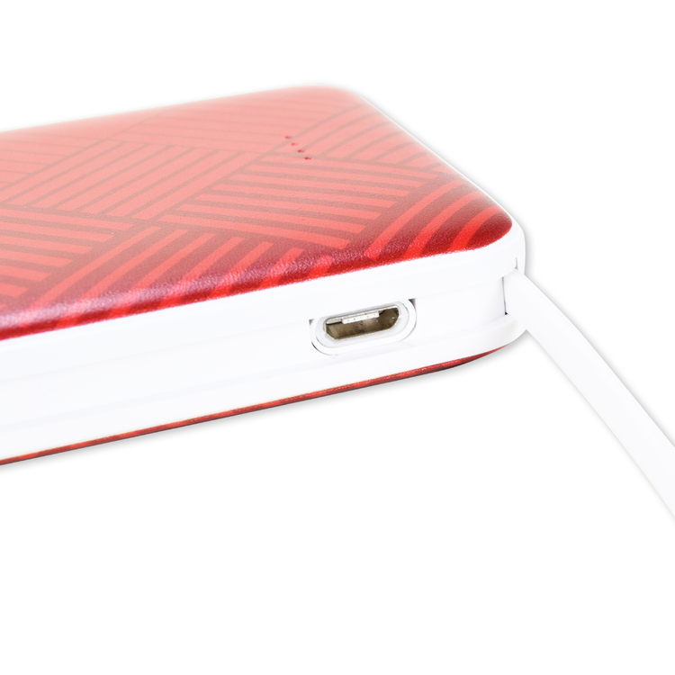 2025プレーヤーズモバイルバッテリー10000mAh(鯱の大祭典GKモデル)
