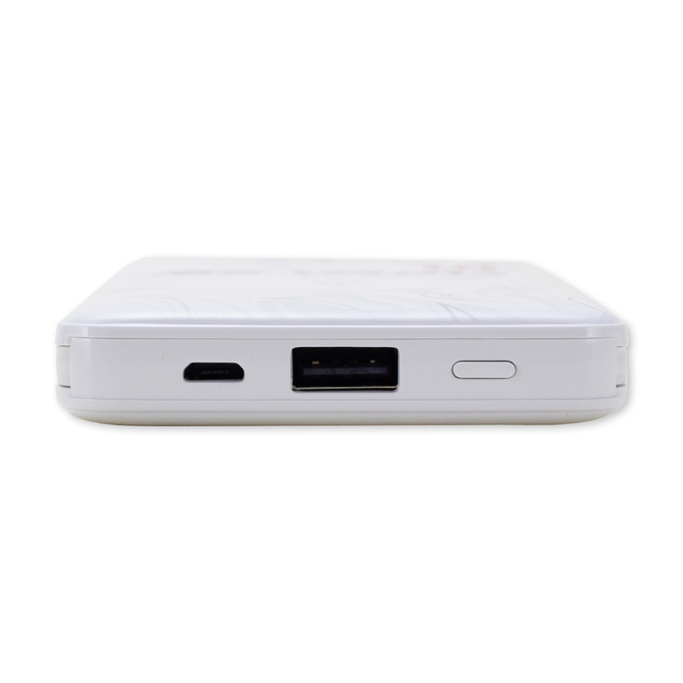 2025プレーヤーズモバイルバッテリー10000mAh(FP2nd)
