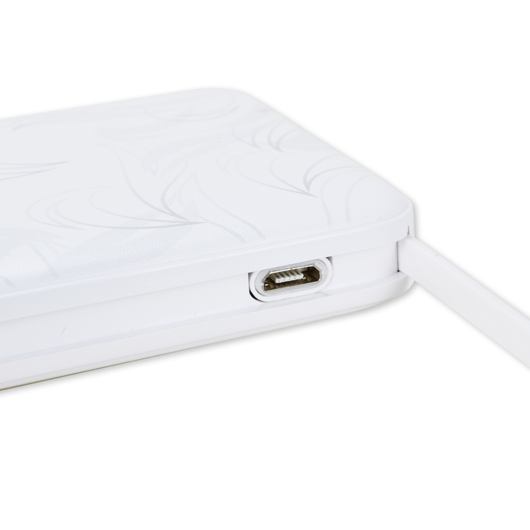 2025プレーヤーズモバイルバッテリー10000mAh(FP2nd)