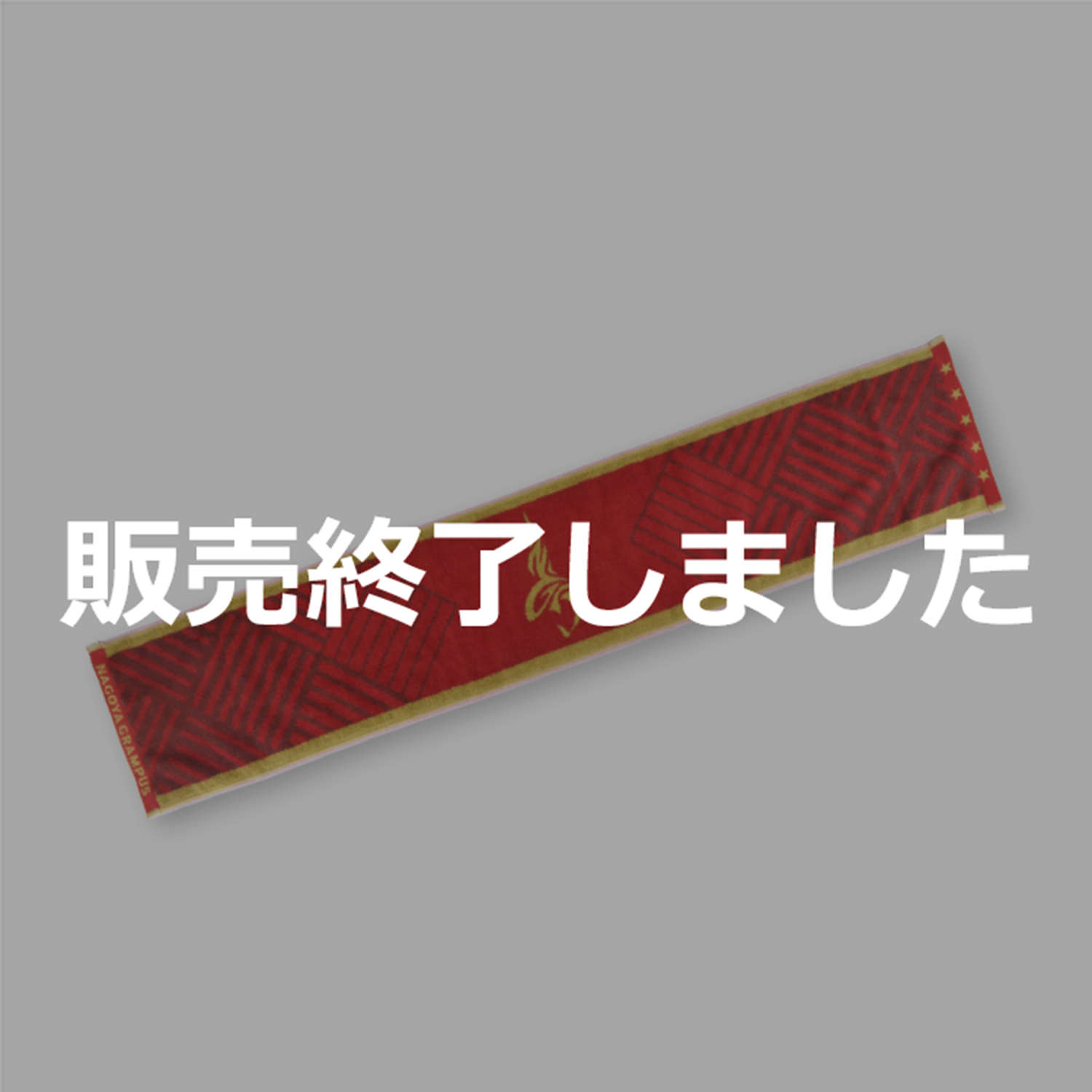 2025鯱の大祭典タオルマフラーGK